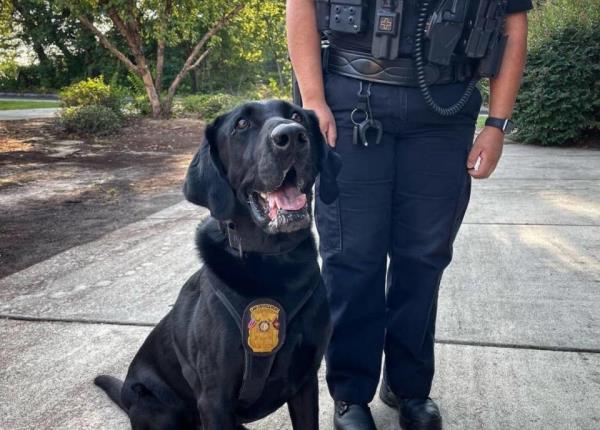 A police dog was part of the law enforcement response to schools that were targeted in threats.